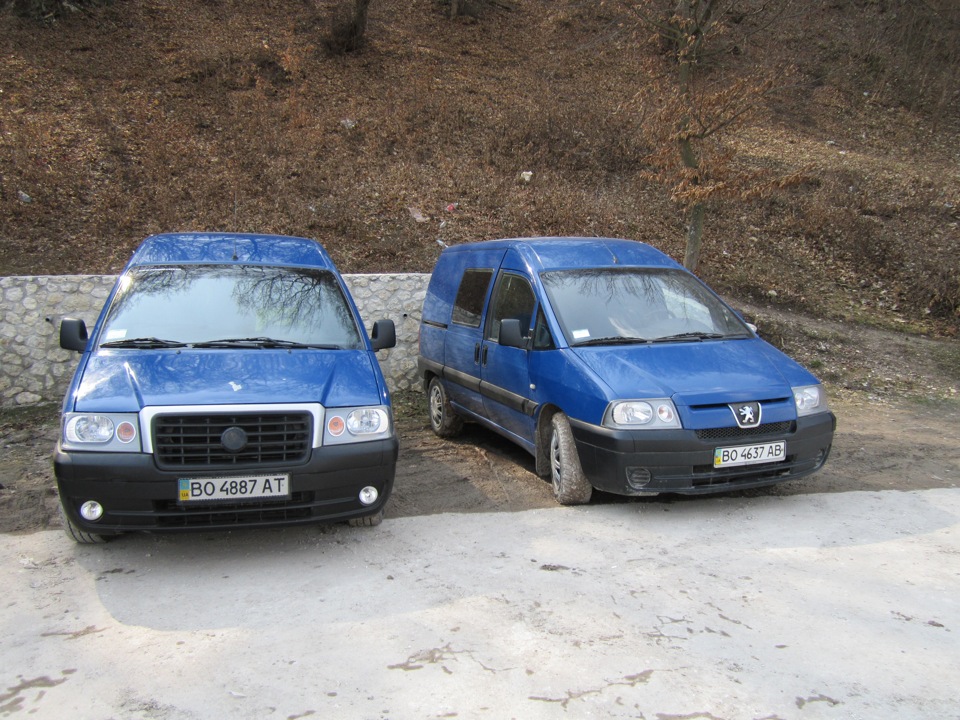 Свіжі фотки) 1