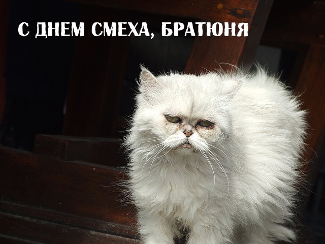 Вітаю всіх з 1 квітня! 5