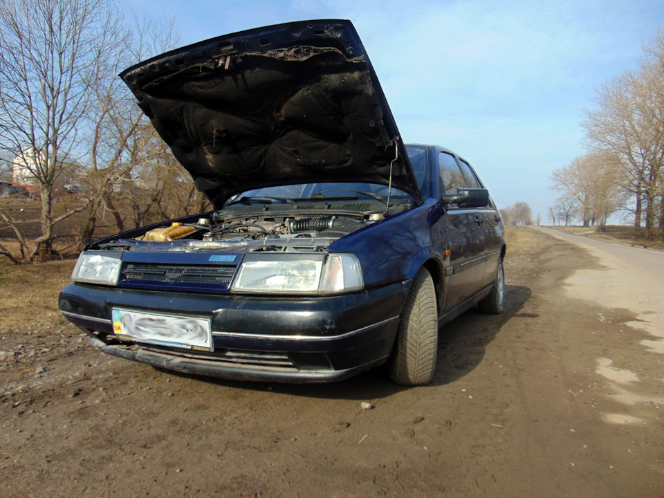Трохи свіжих весняних фото 3