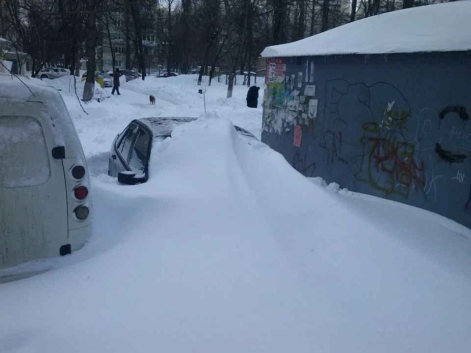 пролісок