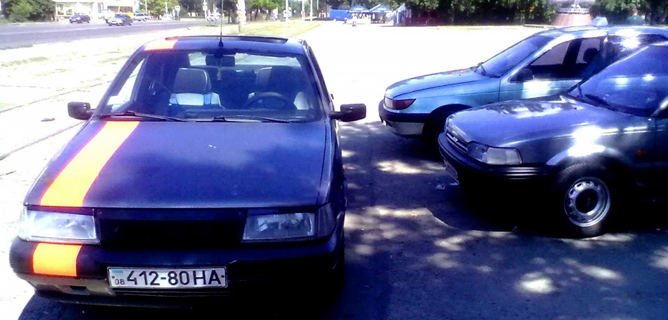 Помив ластівку, трохи фото)) 1
