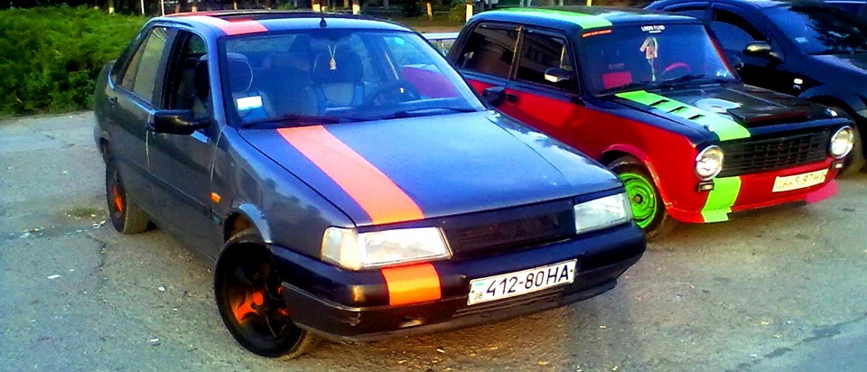 Помив ластівку, трохи фото)) 5