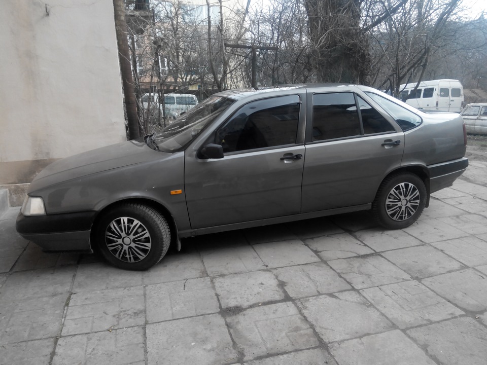 ковпаки, як тут прийнято називати ніштячки 1