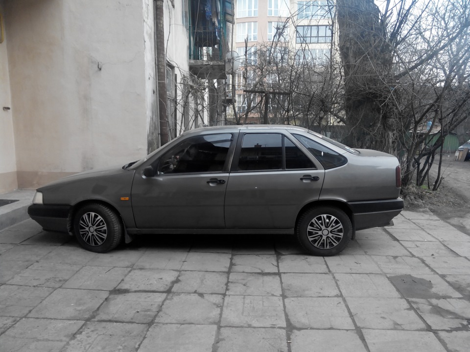 ковпаки, як тут прийнято називати ніштячки 3