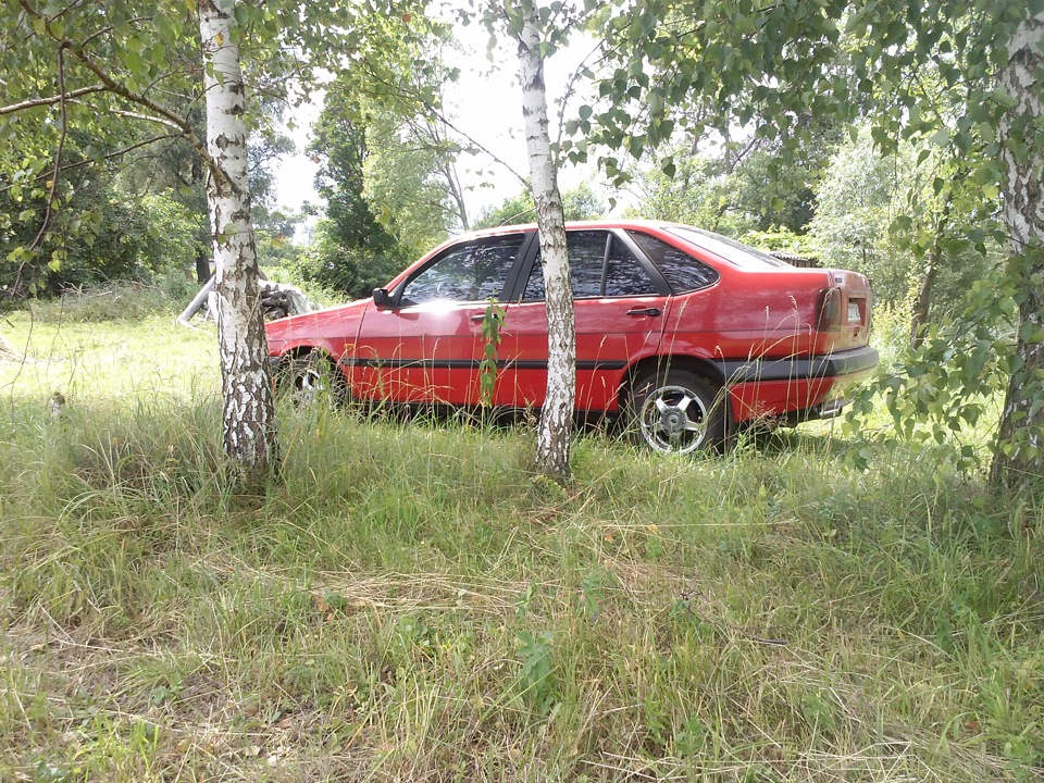 На природі 3