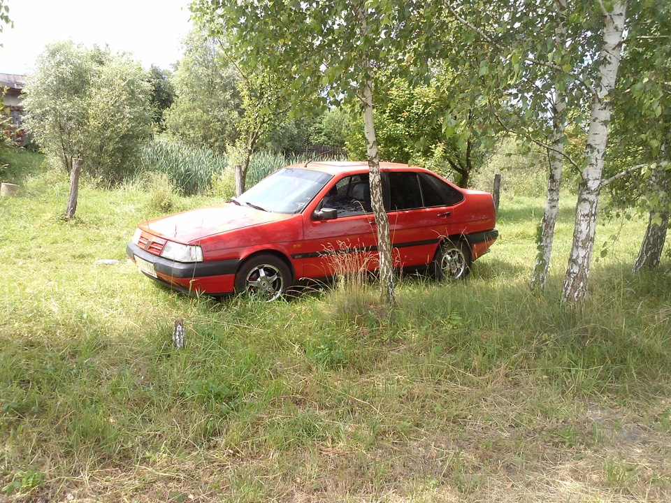 На природі 1