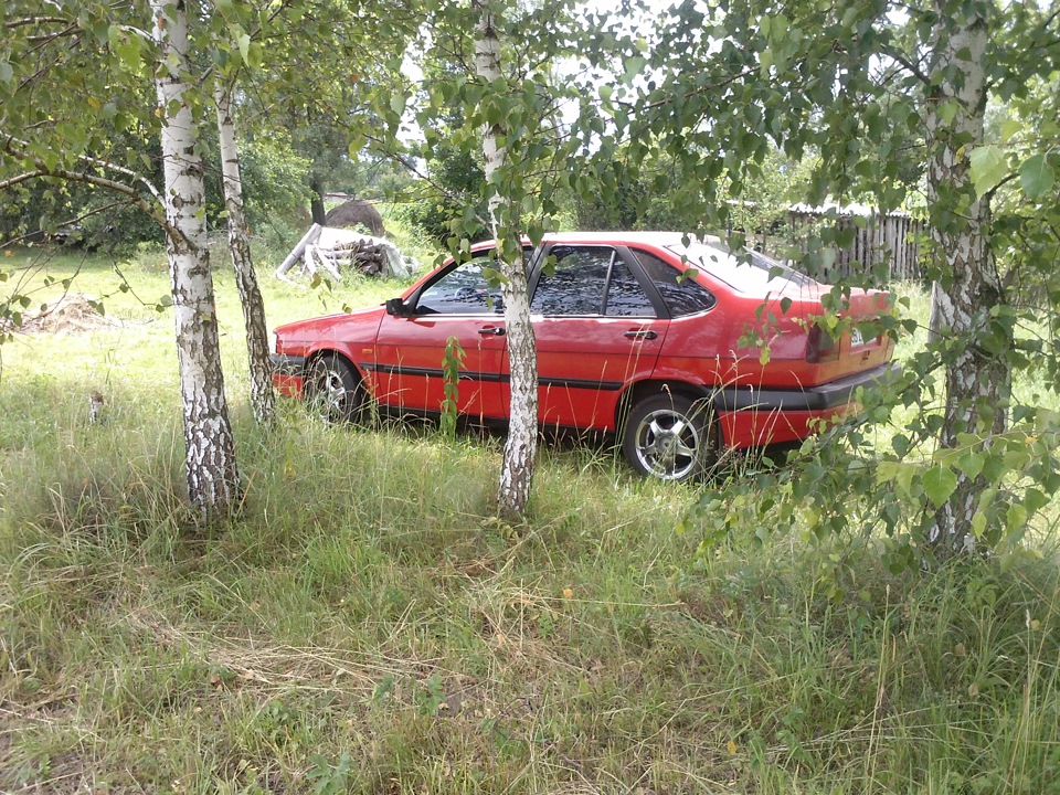 На природі 4
