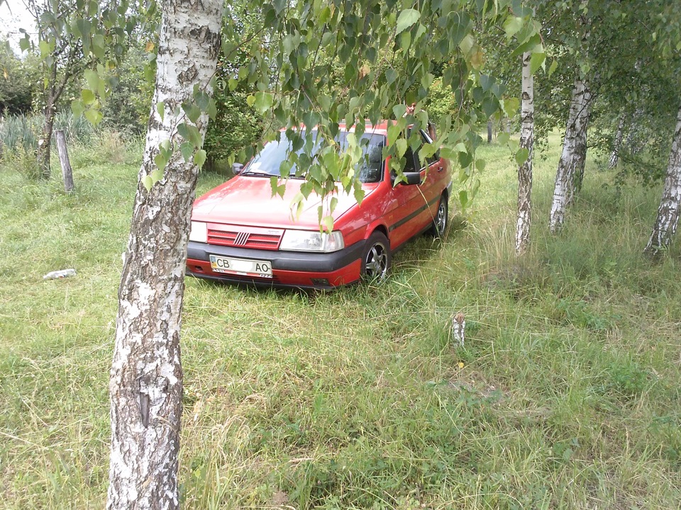 На природі 5