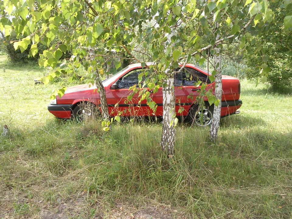 На природі 2