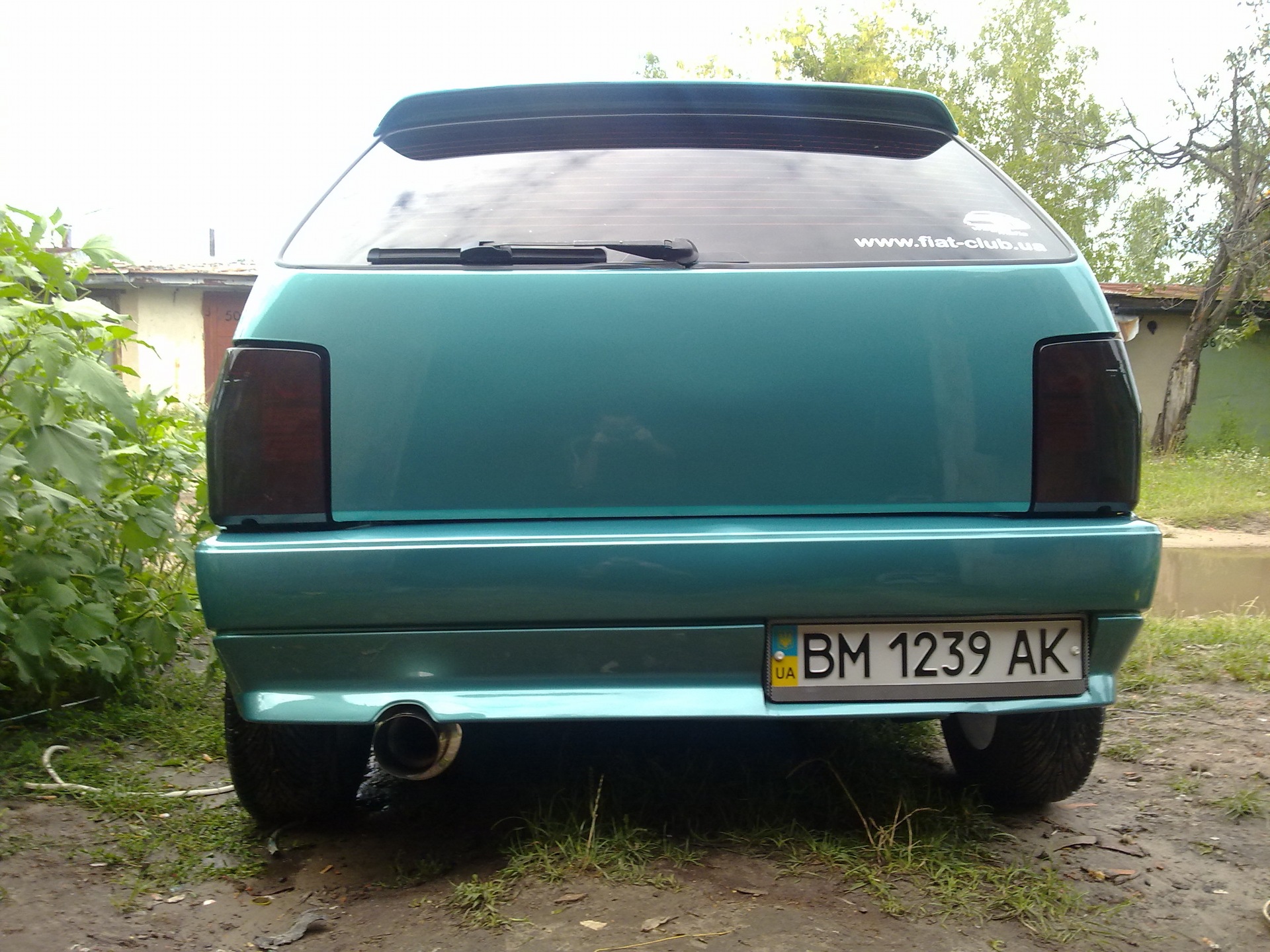 Пофарбували! 1