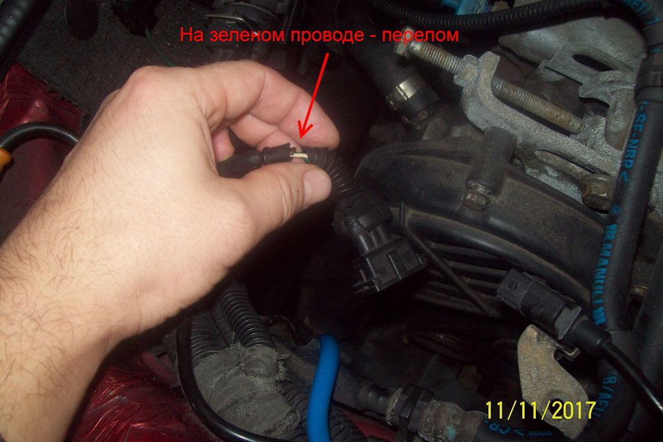 розтин показав… 2