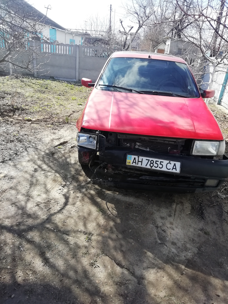 Сбил собаку (((( 2