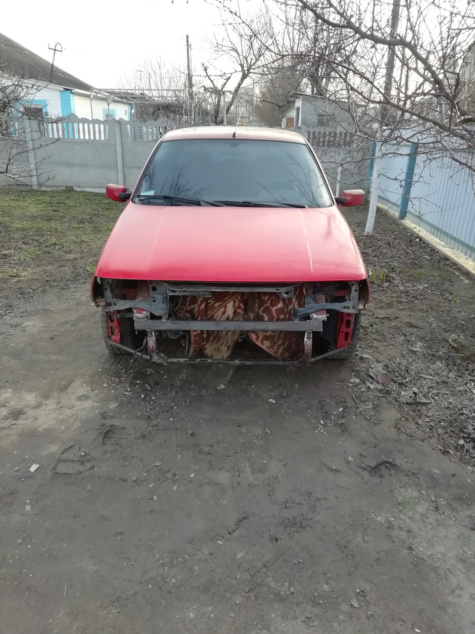 Сбил собаку (((( 4