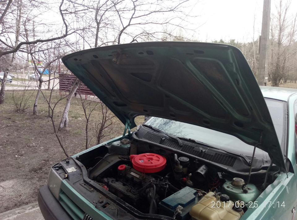 #7 Вирішив зняти шубу 2