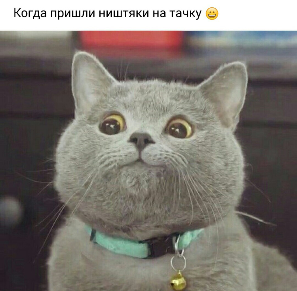 #8 Ніштяки для тапка) 2