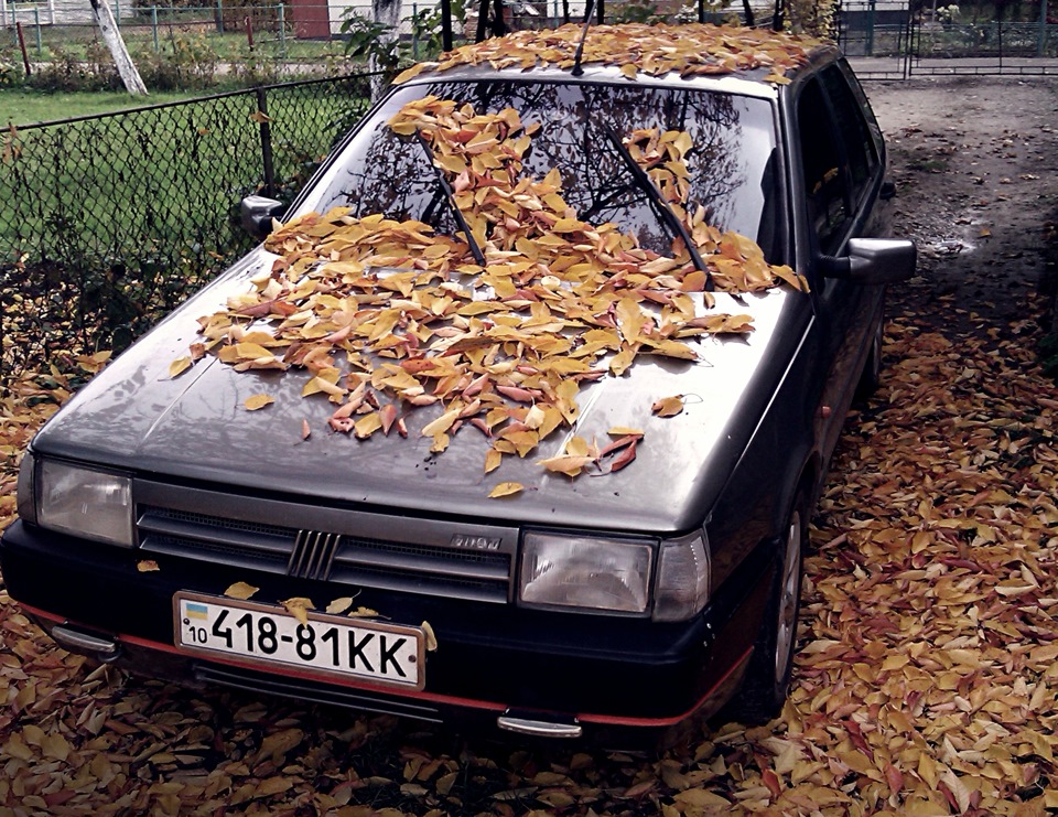Невеликий огляд Типу Осінь-) 3