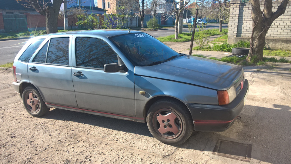 пару фоток после дождя) 2