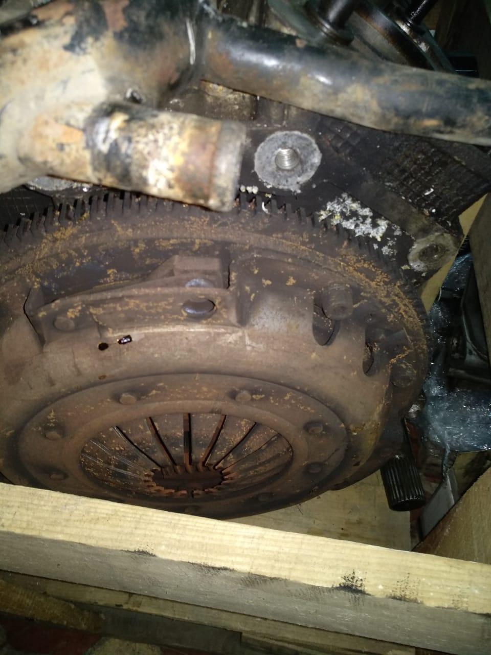 2.0 v6 turbo alfa romeo gtv 3