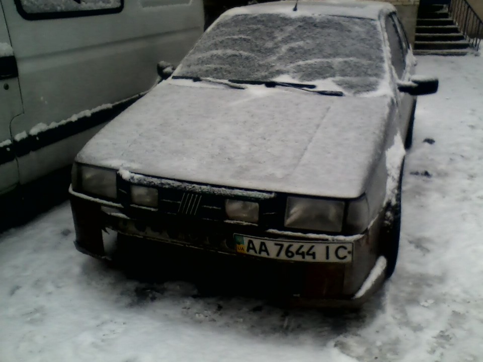 зима, йожкін кіт))) 2