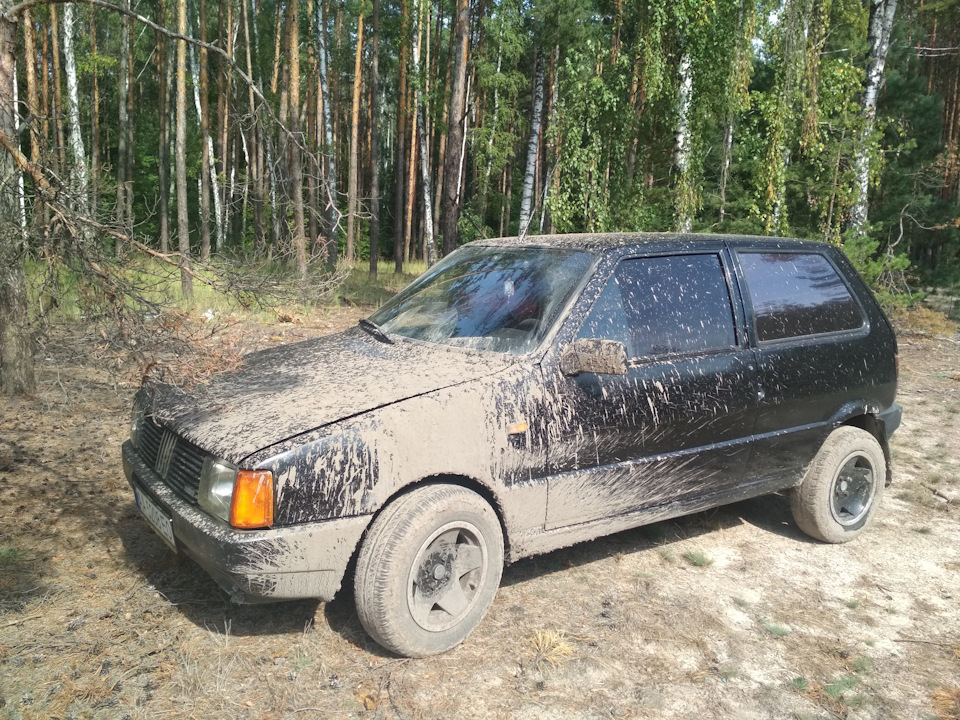 Поїздка за грибами) 2