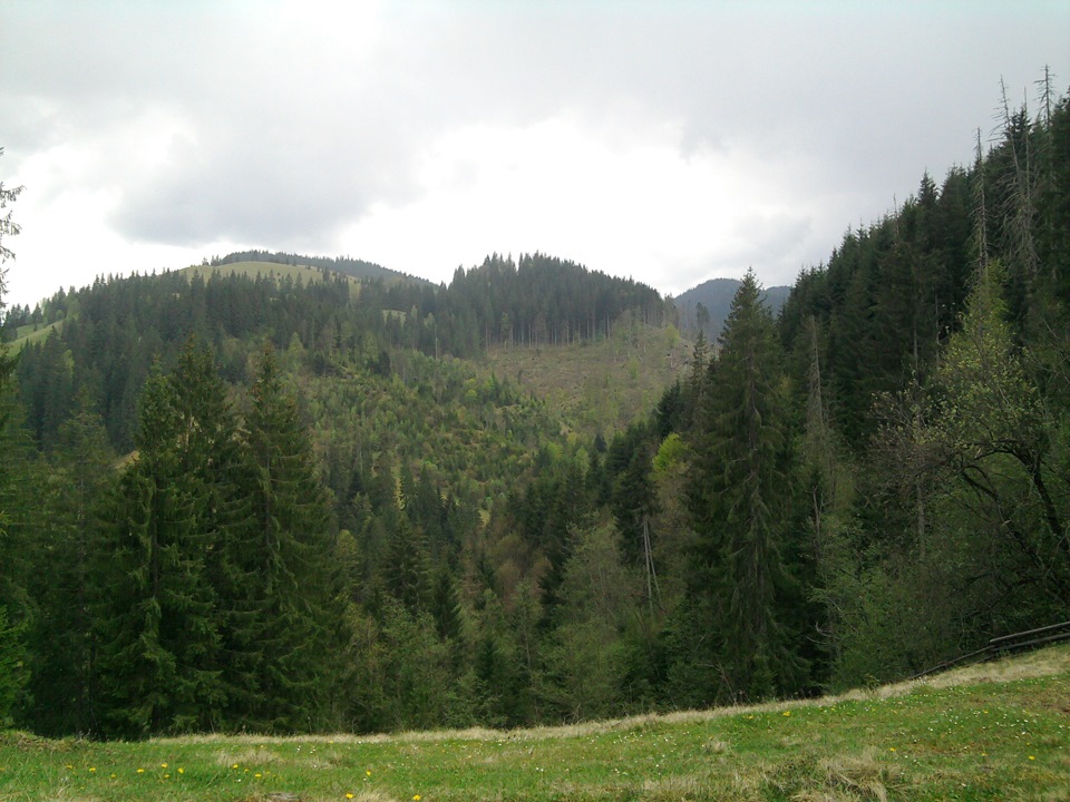 Підкорювач гір 4