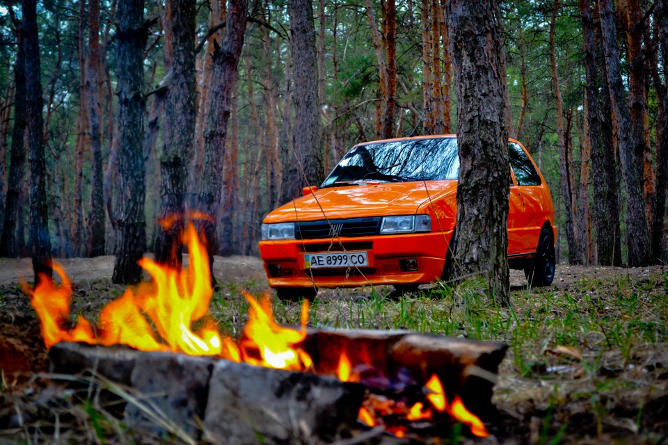 І тільки сосни… 4