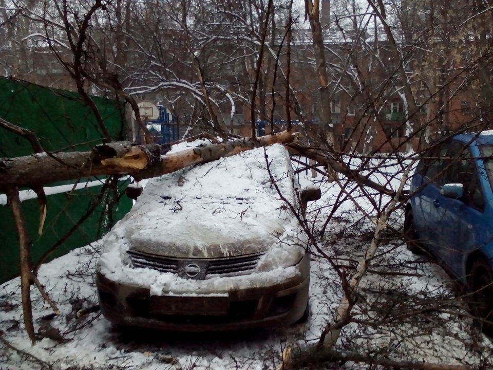 маленька неріятність 2