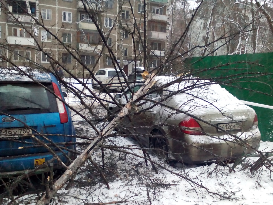 маленька неріятність 5