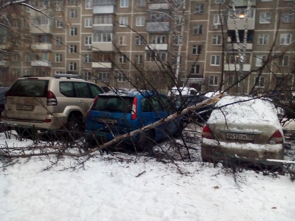 маленька неріятність 3