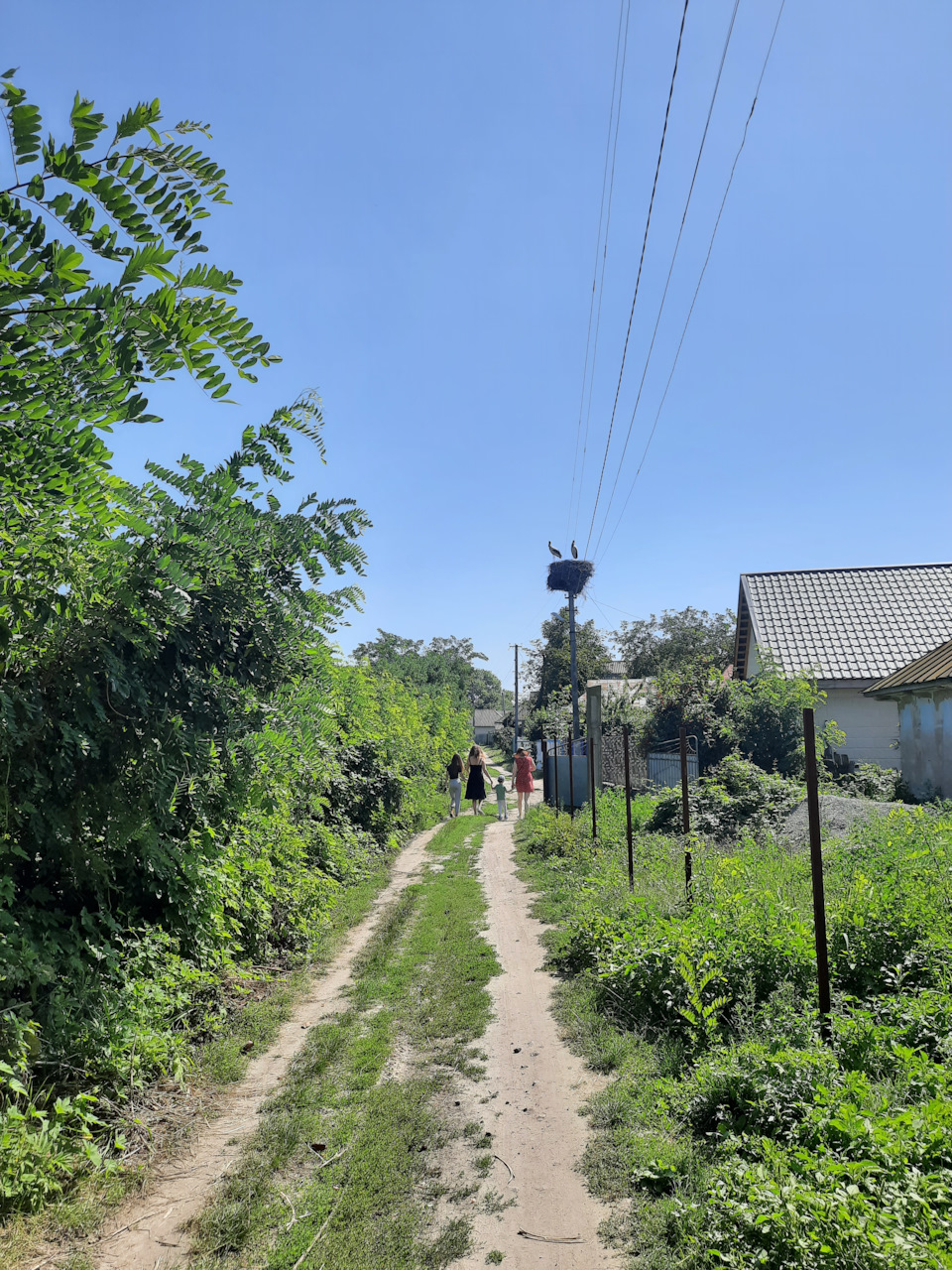 Міні-Ювілей 1 рік 3