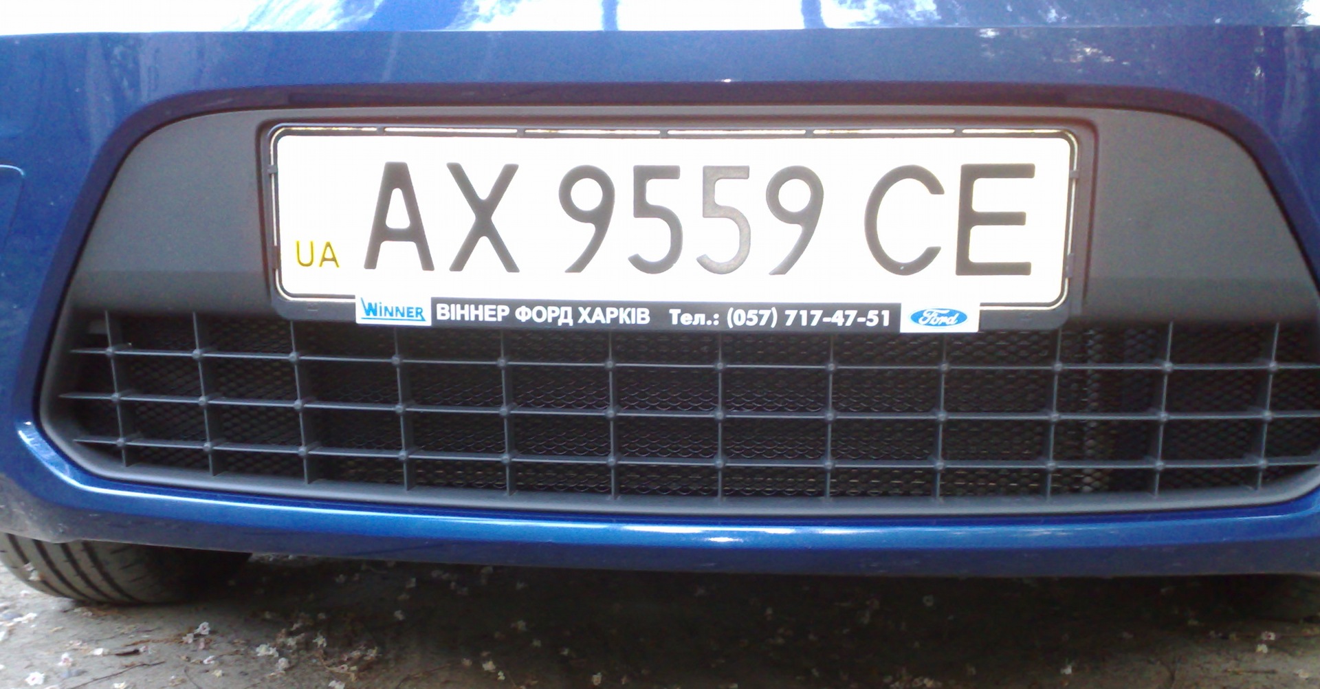 Сітка в бампер 1