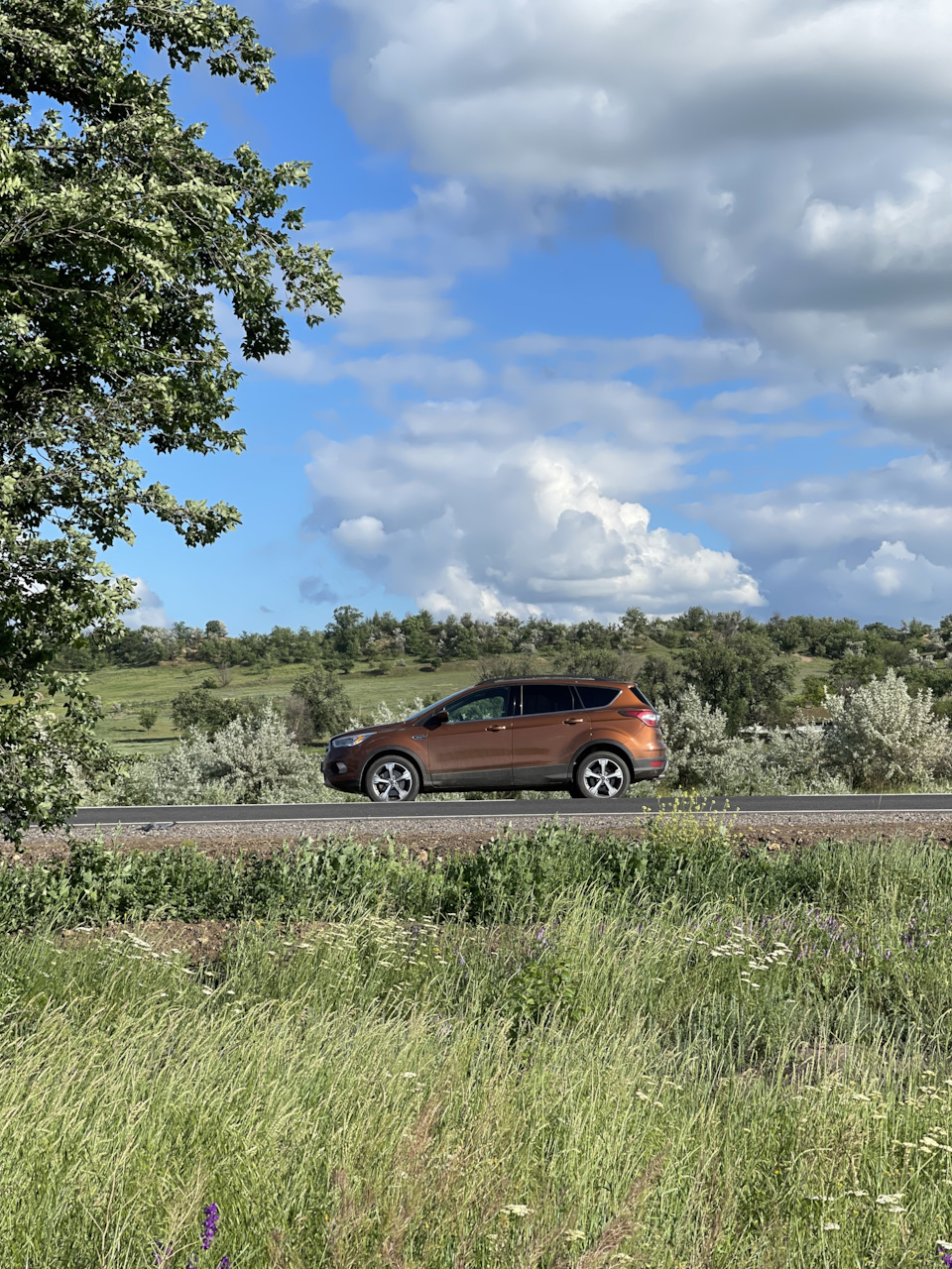 Півроку в Одесі чи до такого Ford Escape готовий не був 3