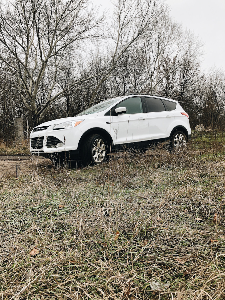 Покупка 2013' Ford Escape 1.6 turbo (187 hp) 1