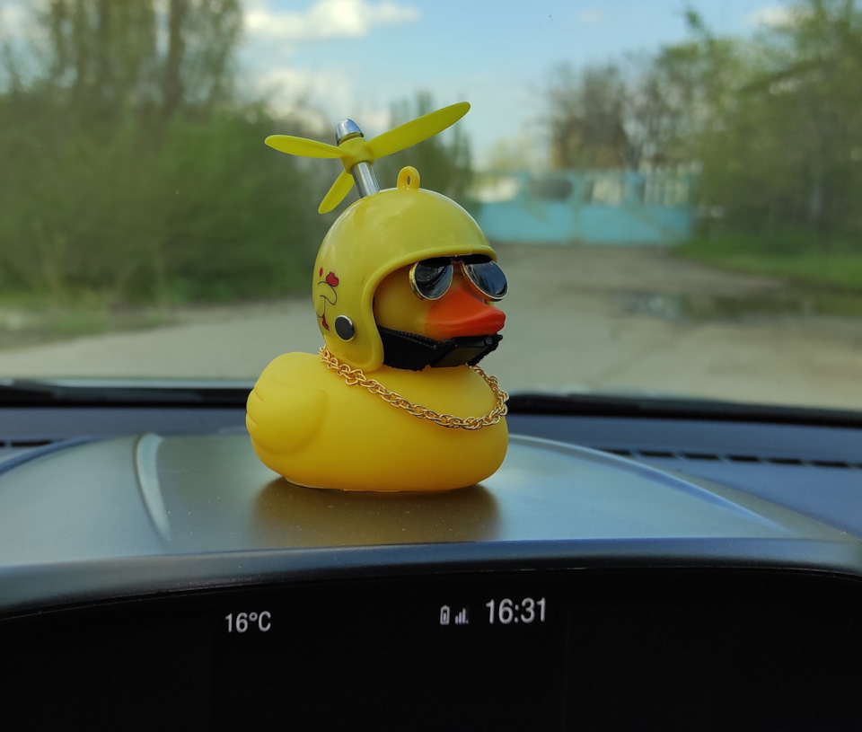Нові іменні номери на Брута 5