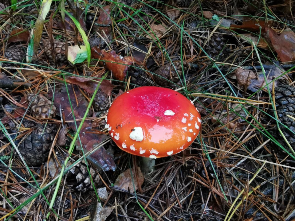 Заміна гуми 4