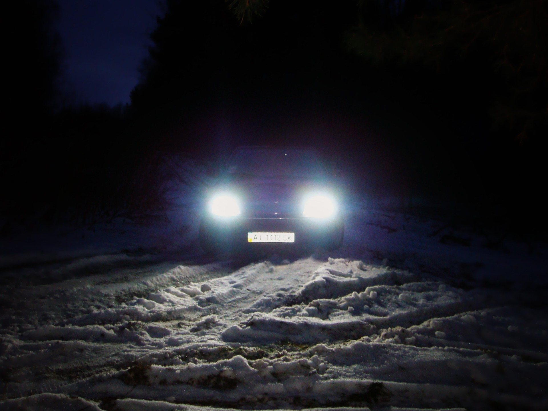 пару фоток з лісу ... 2