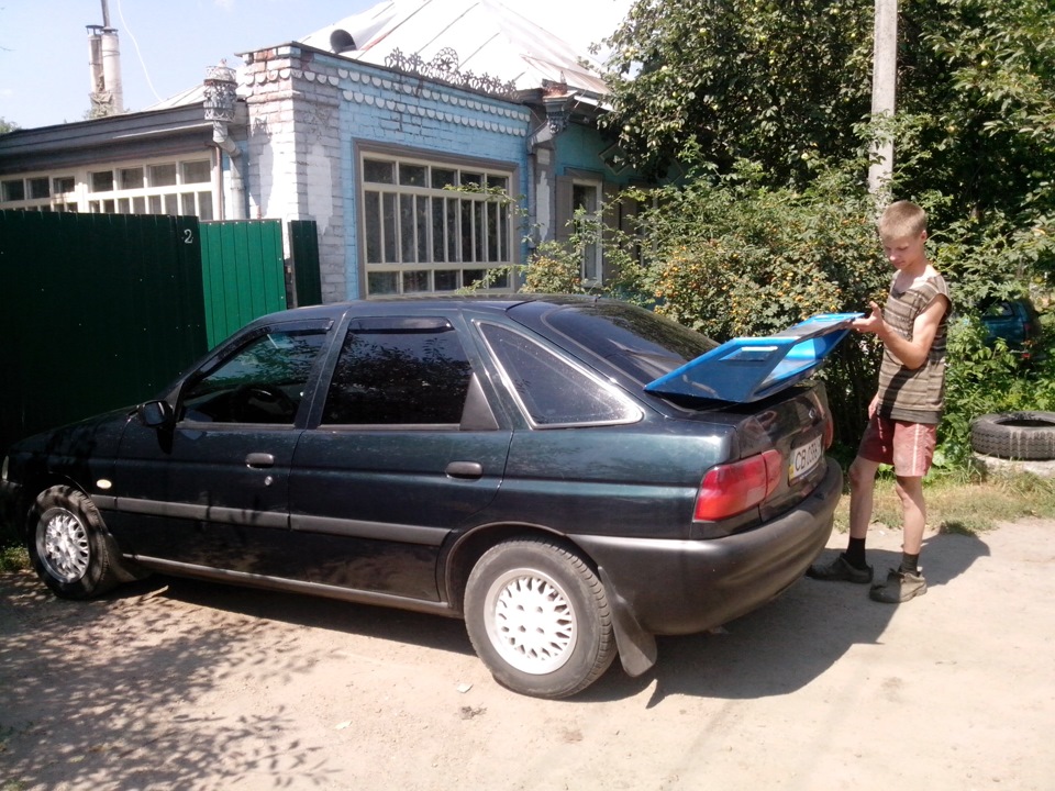 Олія та інше. 5