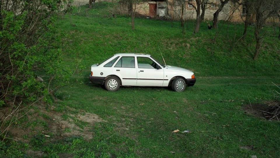 18. Декілька нових фото 1