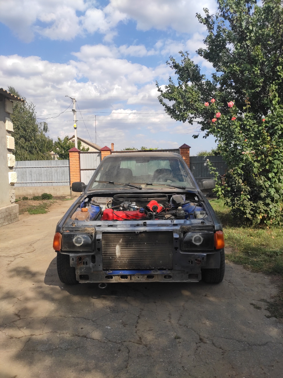 Фоточки 1