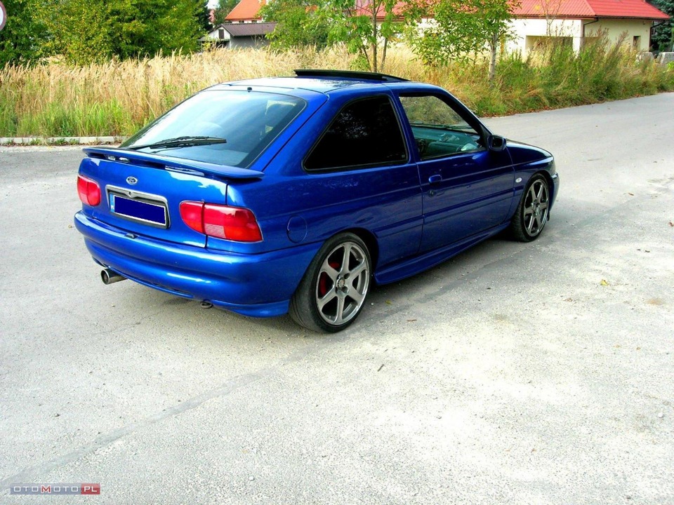 Ідеальний Escort 5