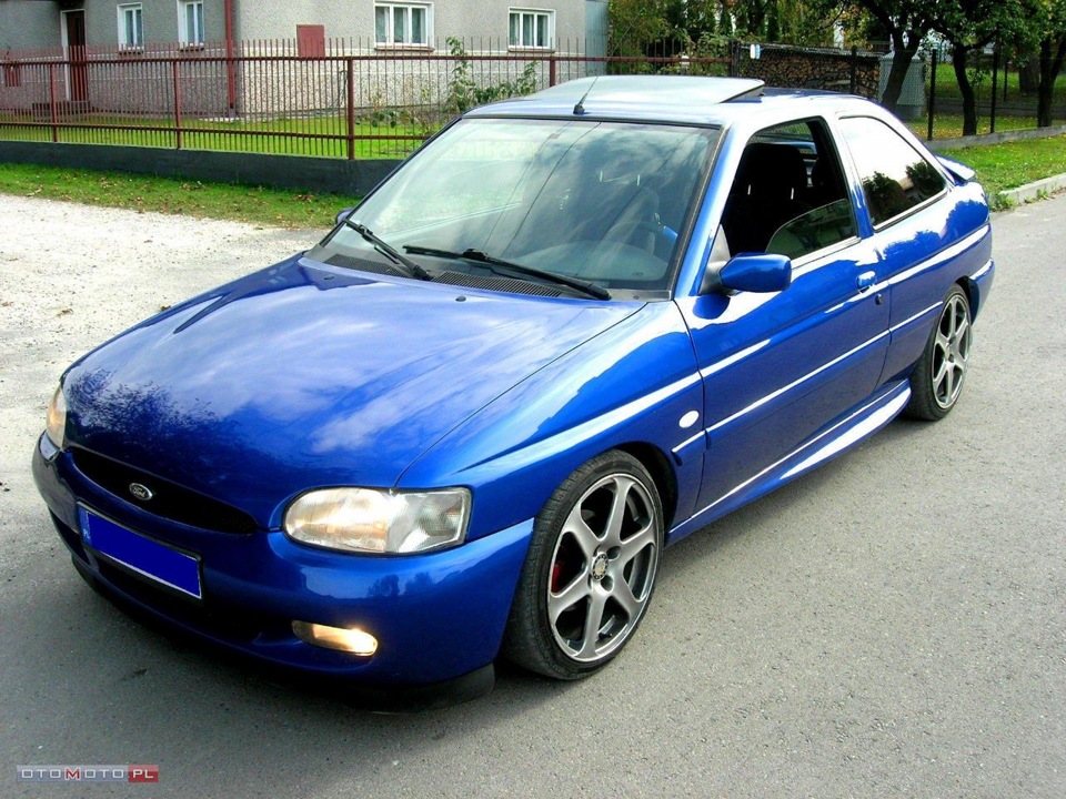 Ідеальний Escort 2