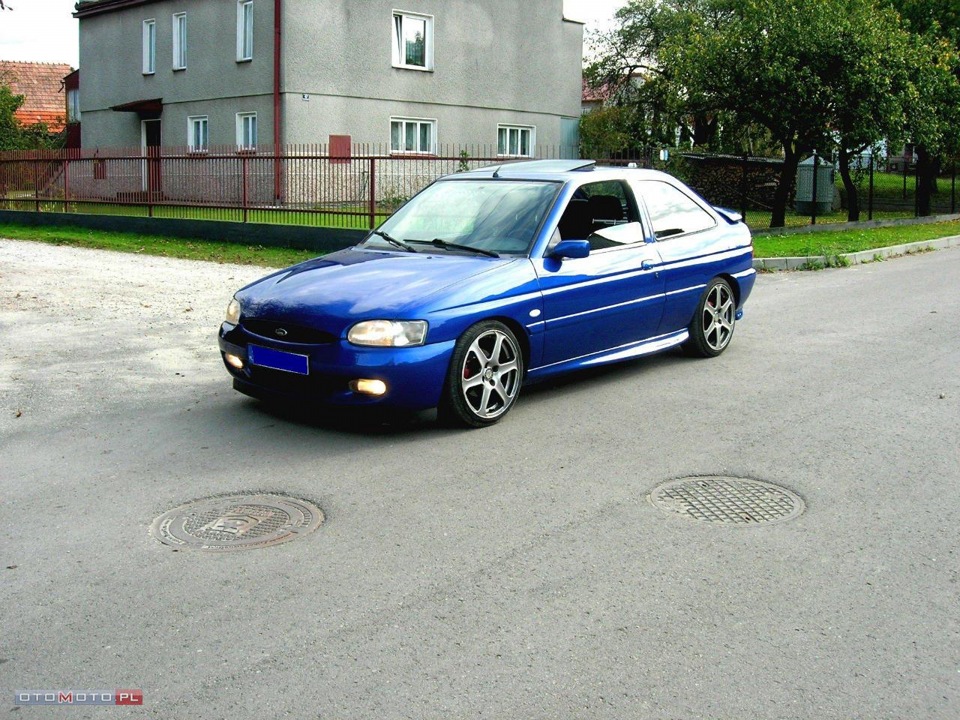 Ідеальний Escort 4
