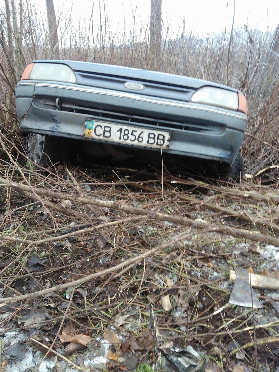 Ожеледиця