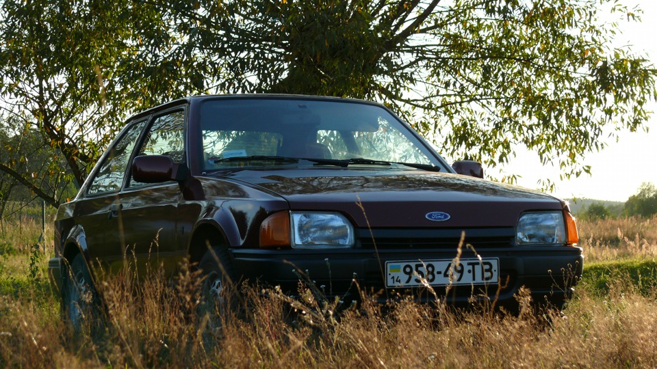фотосесія намбер ван 4