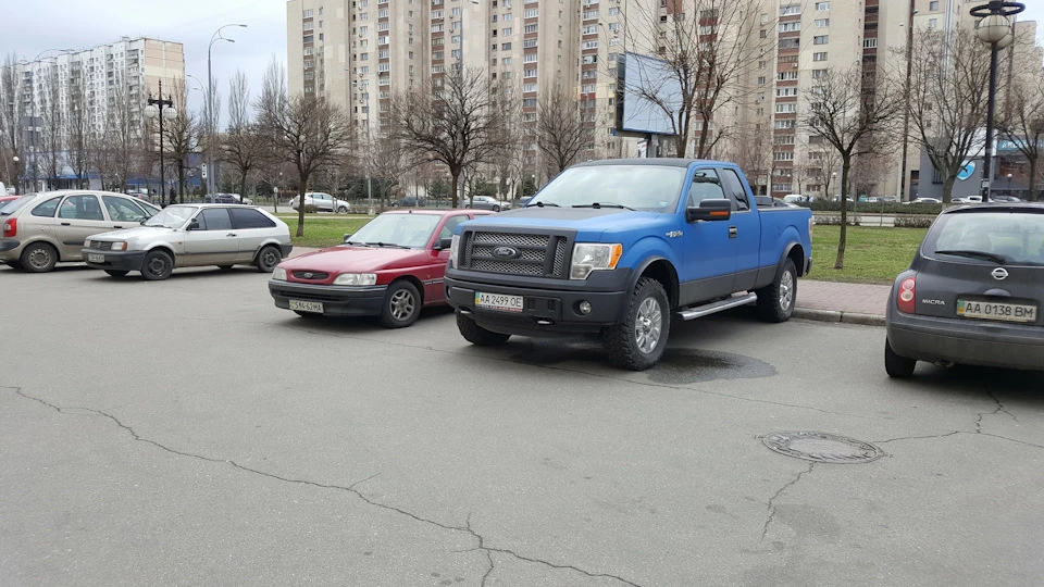 Зустрів родича!:-)))