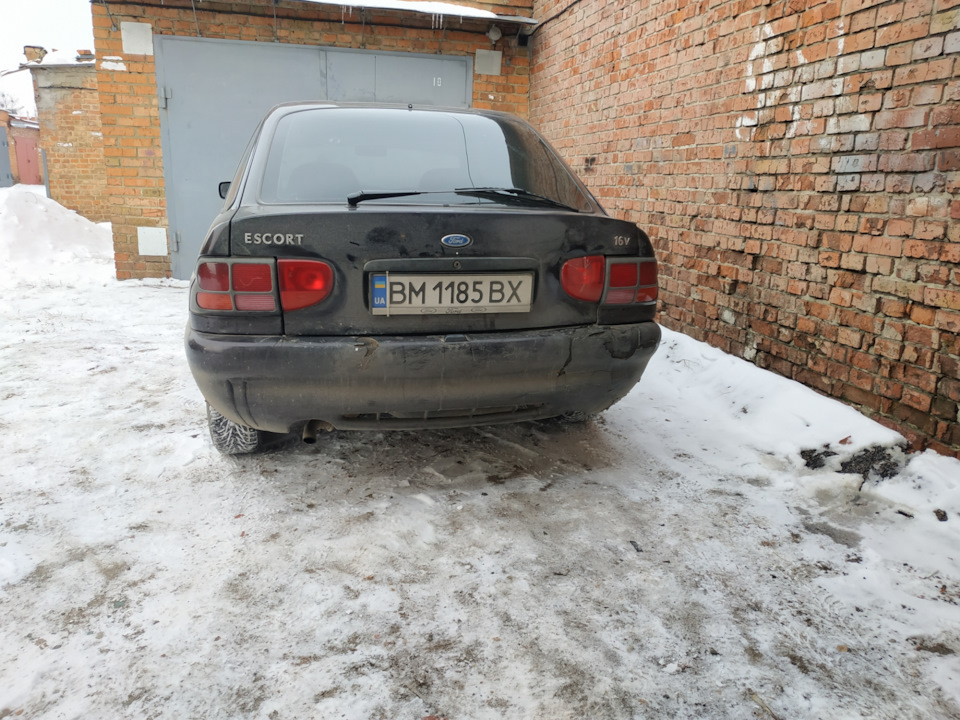 Що за звір такий))) 3