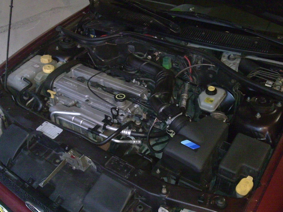 Zetec