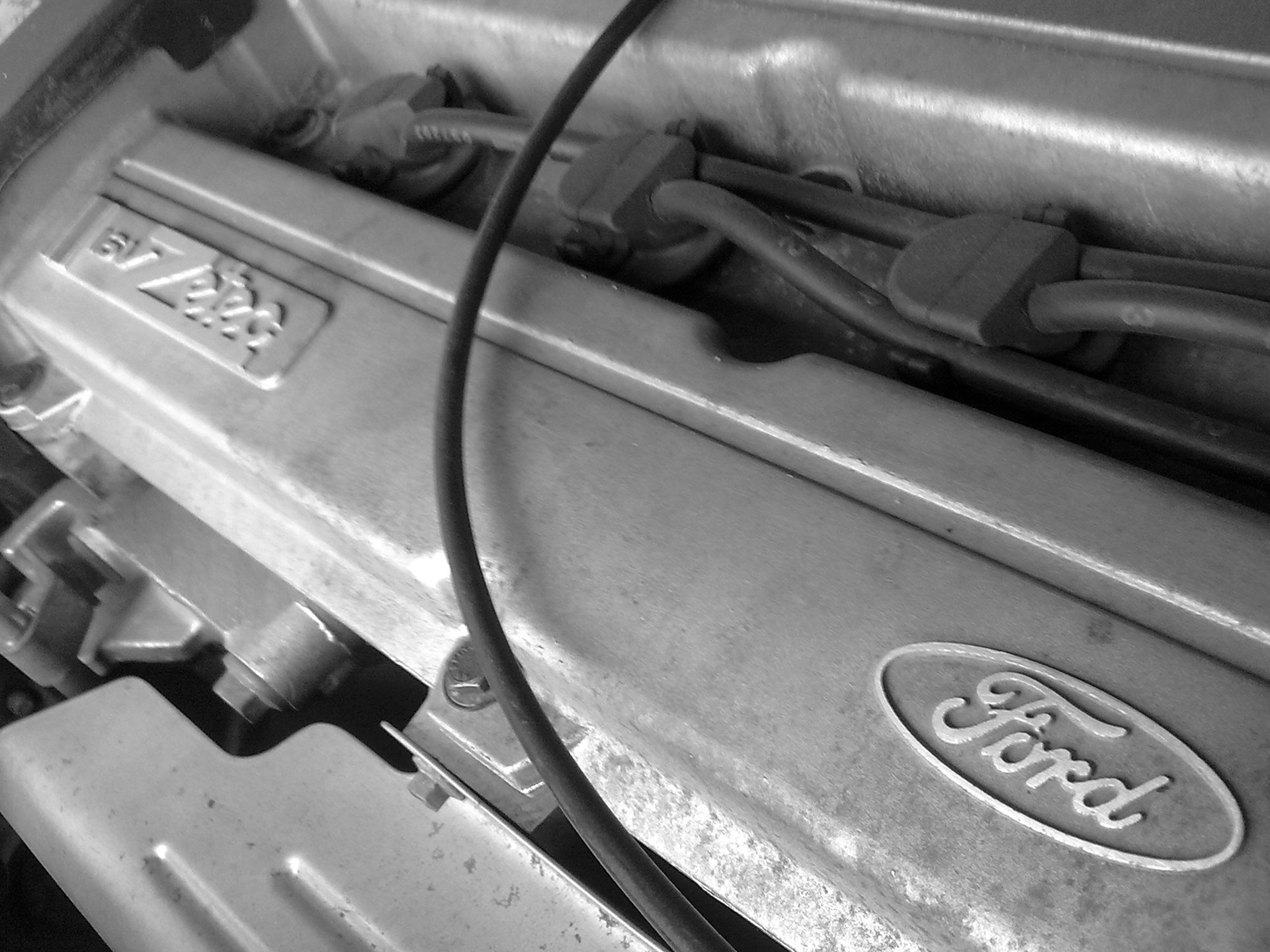 Zetec 5