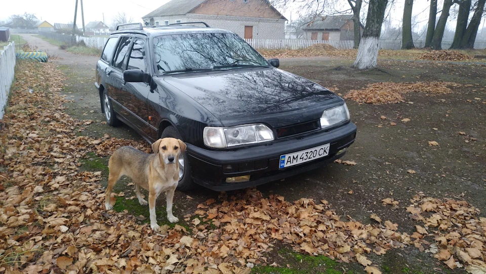 Зустрічайте нового друга!