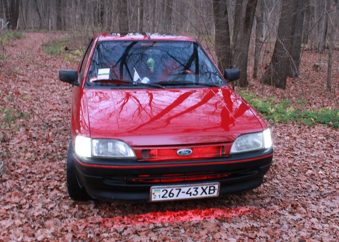 Фотосет - Ліс ... 3